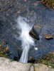 Stream v